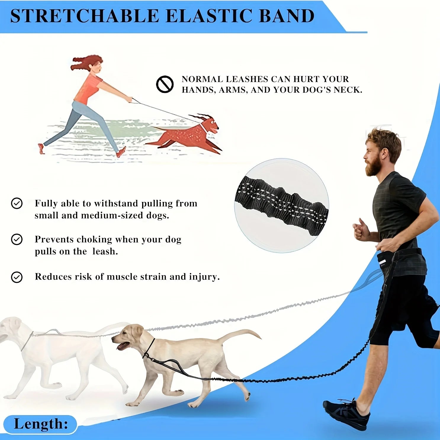 Reversible dog leash with zippered pouch
