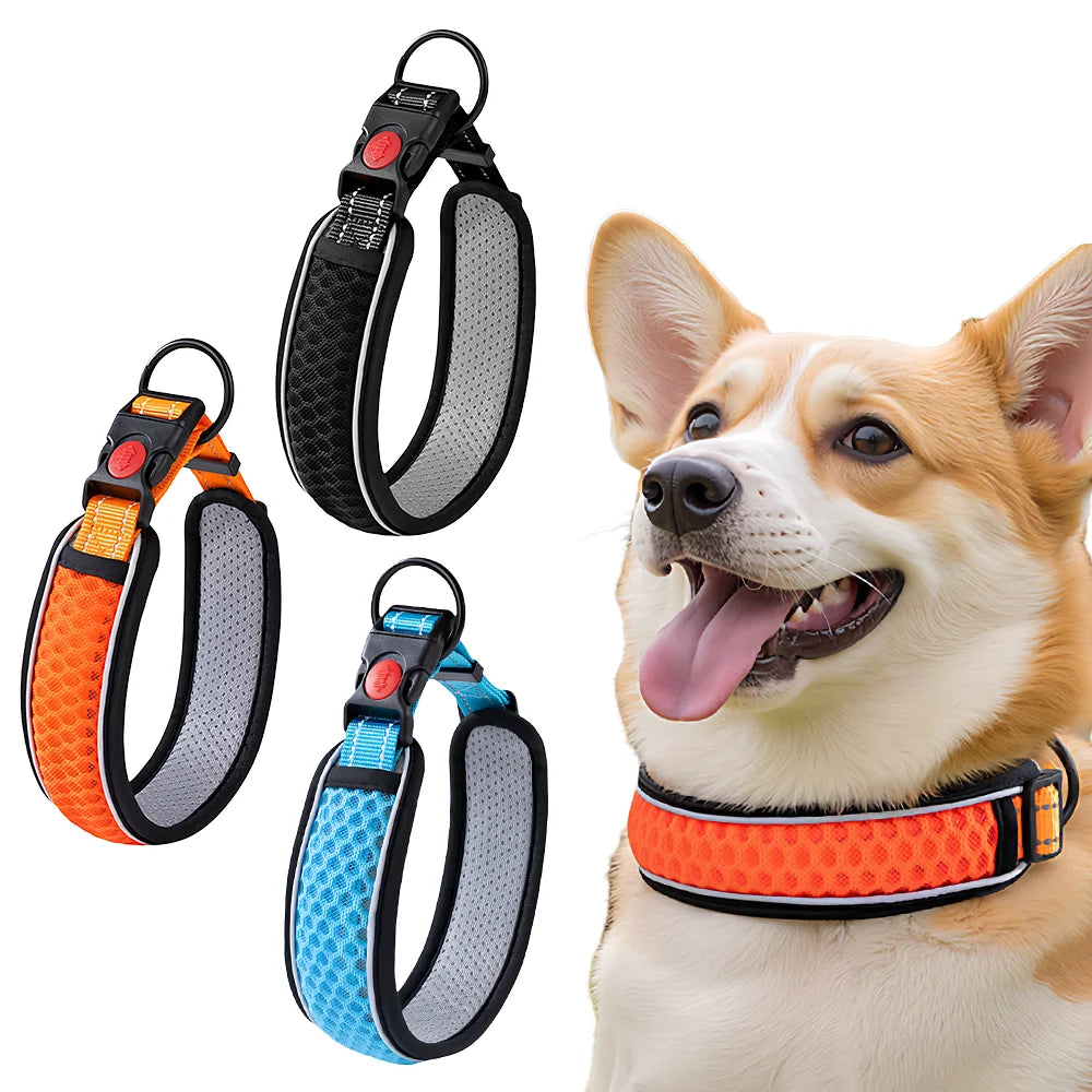 Pet Collar, Adjustable Neck Strap