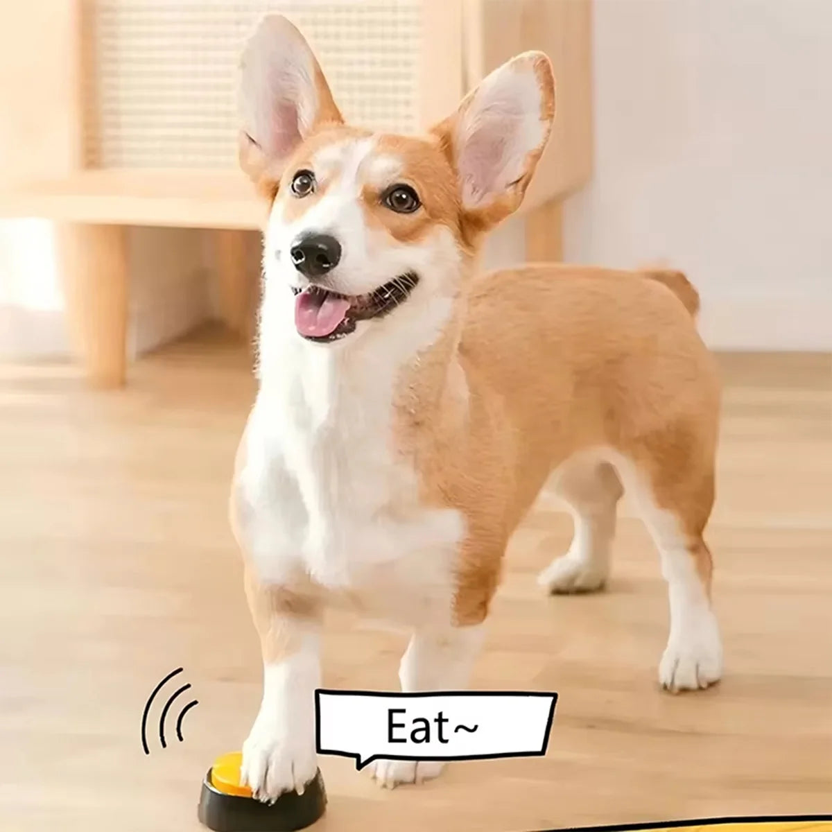 Pet Communication Buttons