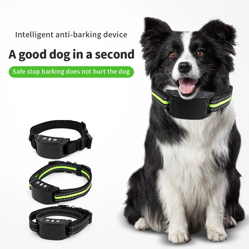 Dog Training Collars
