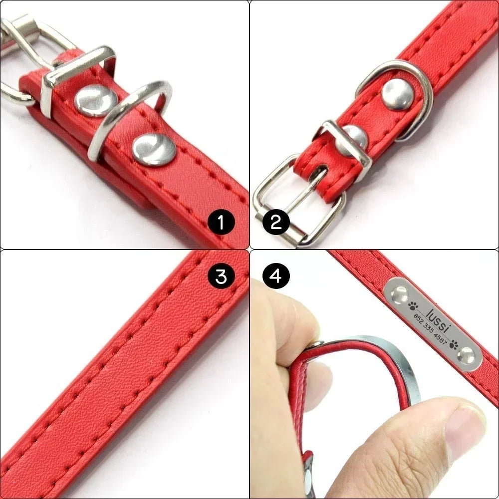 Personalized Dog Collar