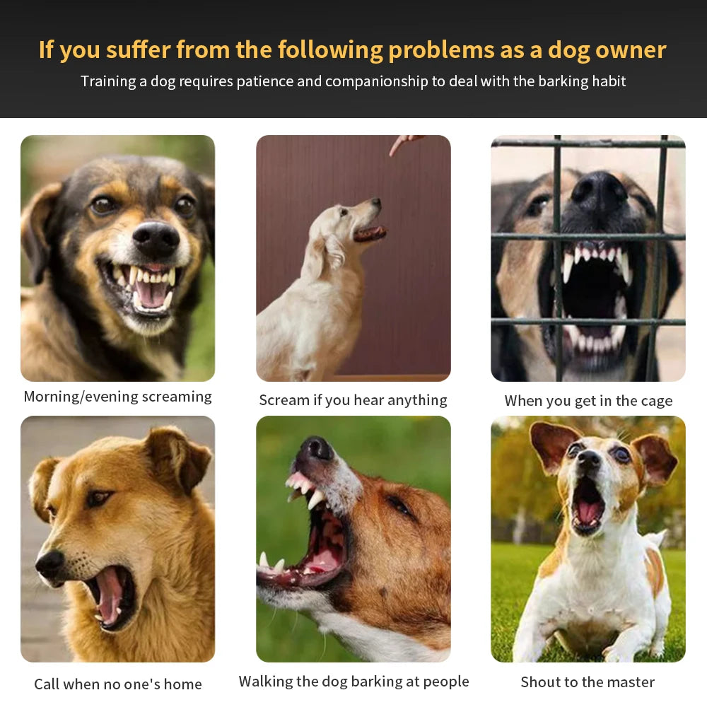 Dog Training Collars